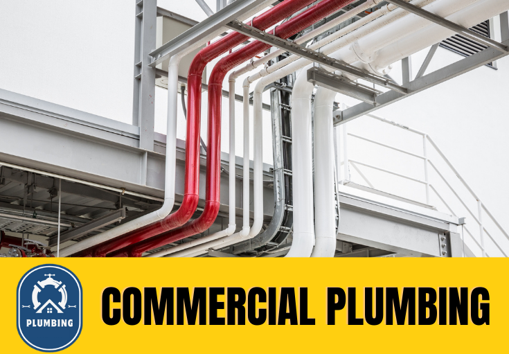 commercial plumbing Bexley