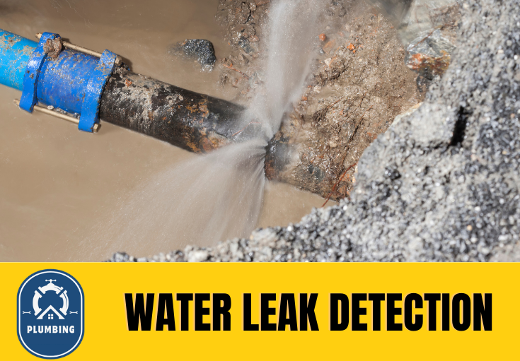 leak detection Bexley